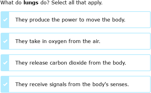 G1 Syllabus