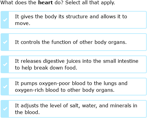 G1 Syllabus