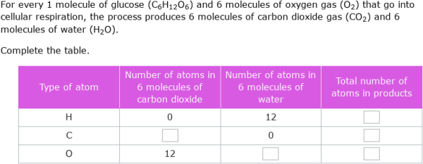 G1 Syllabus